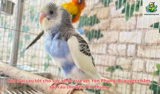 Các loại rau tốt cho sức khỏe của vẹt Yến Phụng: Bí quyết chăm sóc rau cho vẹt Yến Phụng