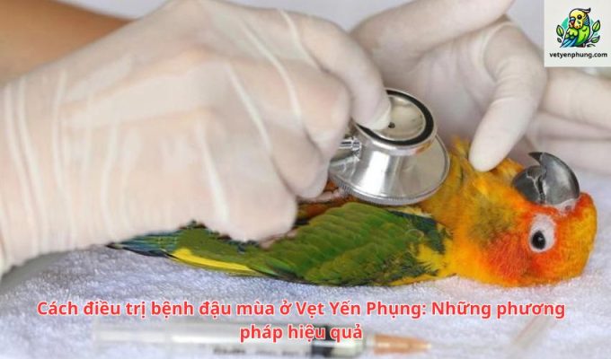 Cách điều trị bệnh đậu mùa ở Vẹt Yến Phụng: Những phương pháp hiệu quả