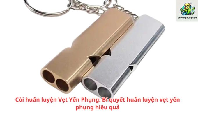 Còi huấn luyện Vẹt Yến Phụng: Bí quyết huấn luyện vẹt yến phụng hiệu quả